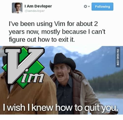 Famous vim exit meme — basic Linux commands for text manipulation
