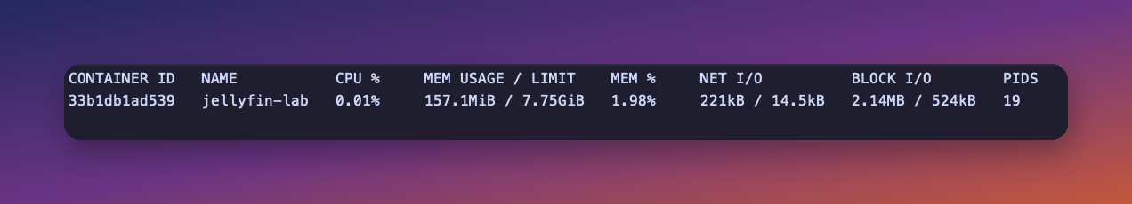 docker stats for the Jellyfin 12 container settled at 157 MiB and 0.01% CPU